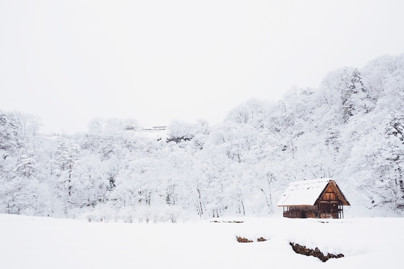 6-Day Snow Town & Changbai Mountain Deep Tour