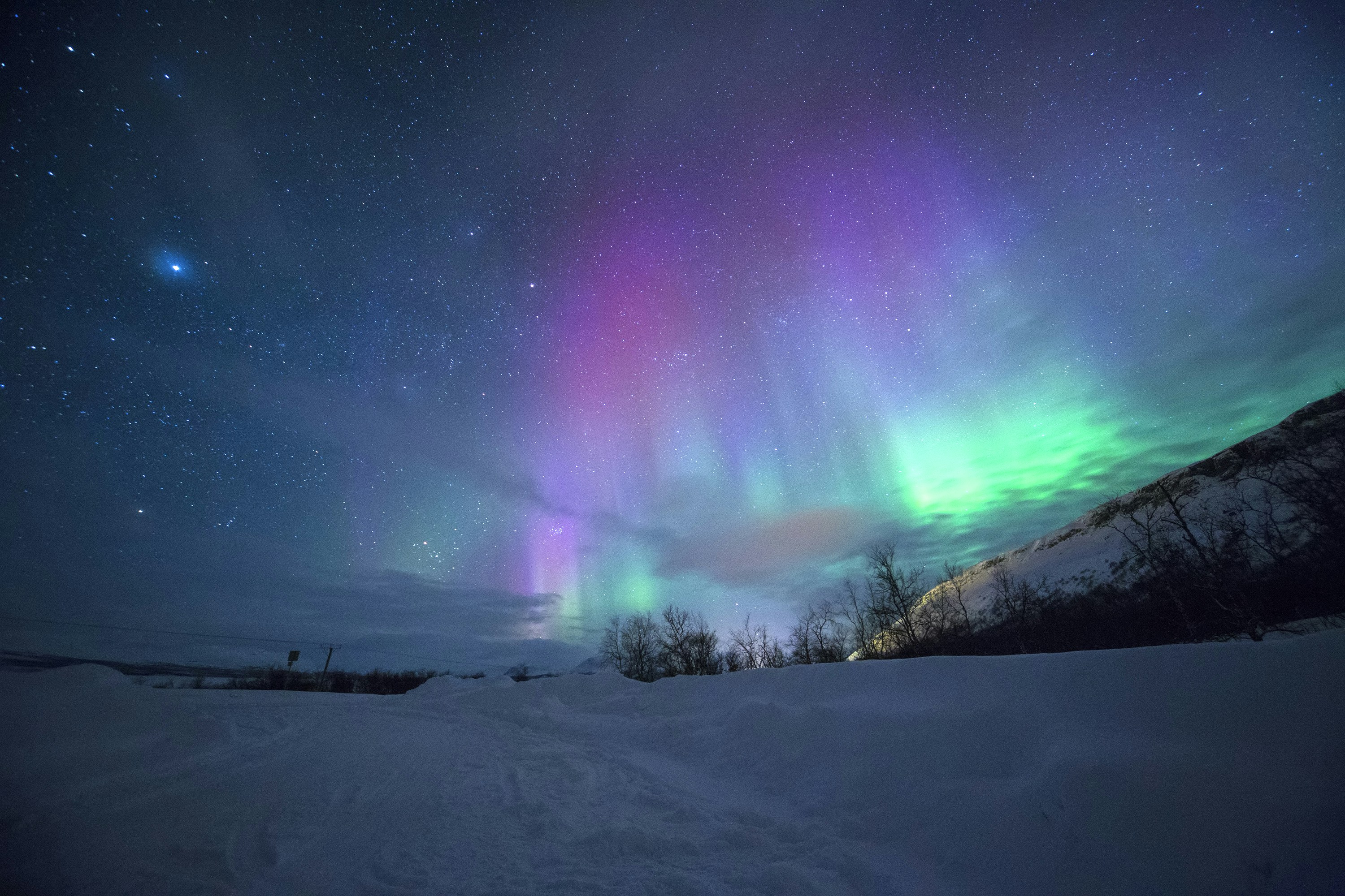 Chasing Aurora: A Polar Promise