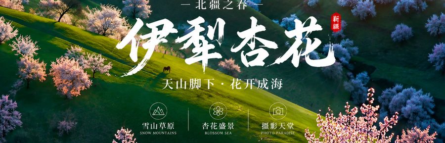 「大理丽江5日浪漫之旅」洱海+玉龙雪山+丽江古城+束河古镇